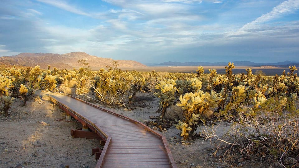 Journey Into Joshua Tree: Audio Driving Tour and Local Guide - Local Area Guide