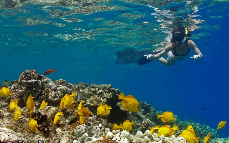 Kailua-Kona: Private Marine Charter Adventure - What to Bring on Your Trip