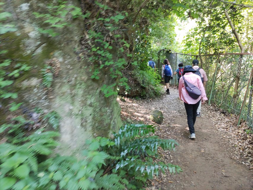 Kamakura: Hiking With Private Guide in Spanish - Recap