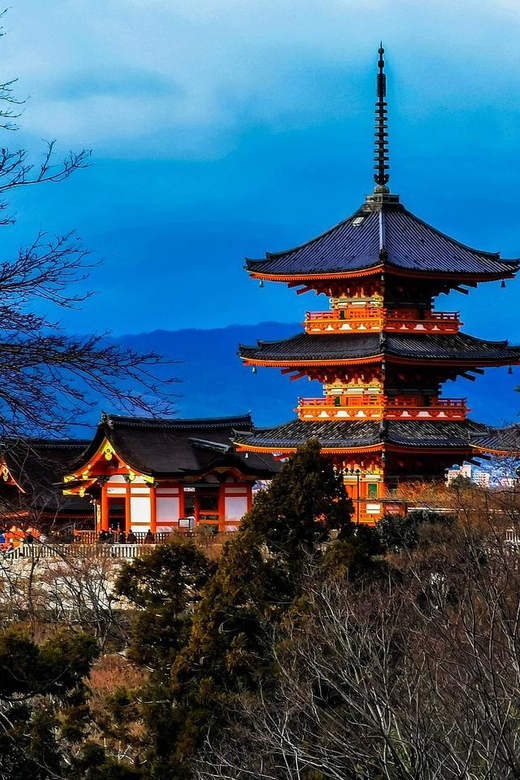 Kansai 10-Hour Chartered Day Trip｜Kyoto - Booking Information