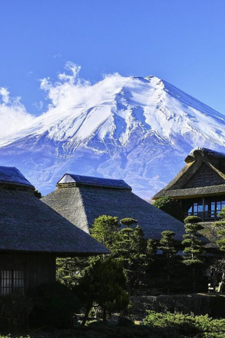 Kanto 10-Hour Chartered Day Trip｜Mt. Fuji Day Trip - Accessibility Features