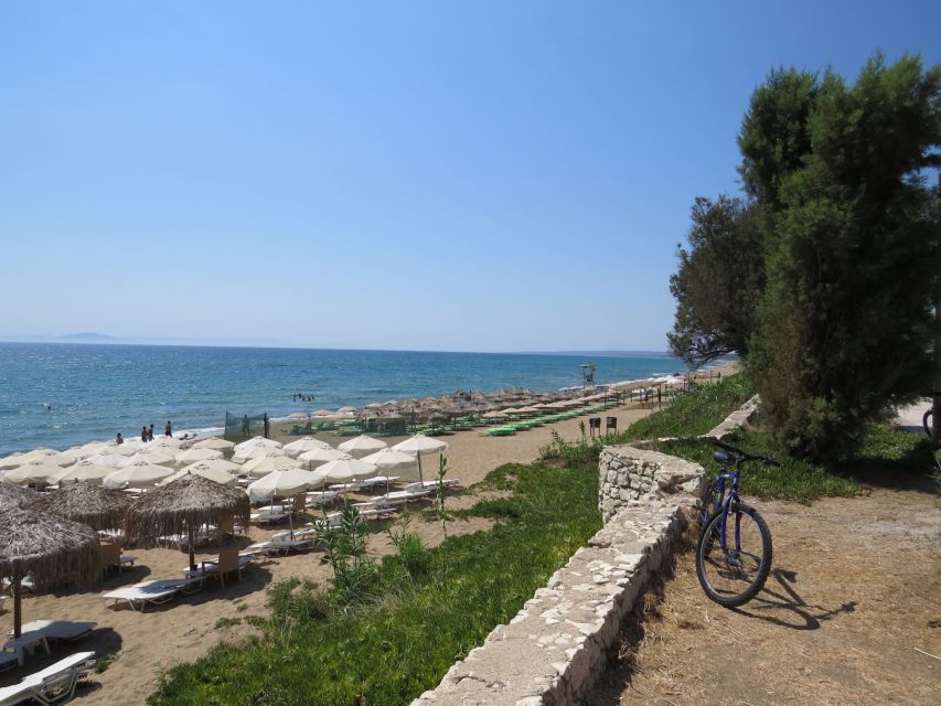 Katakolo: Ancient Olympia and Kourouta Beach Guided Tour - Customer Reviews and Feedback