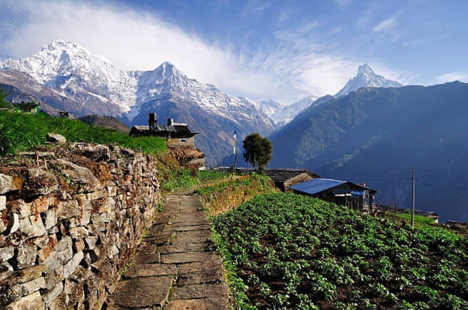 Kathmandu-Pokhara-Ghandruk-Chitwan Tour:10night/11Days Tour. - Costs and Inclusions