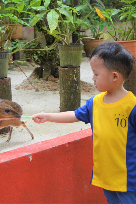 Kedah: Wildlife Park Langkawi Admission Ticket - Planning Your Visit