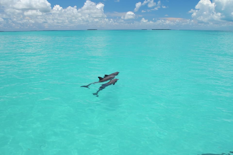 Key West: Glass-Bottom Boat Reef Eco-Tour - Additional Information