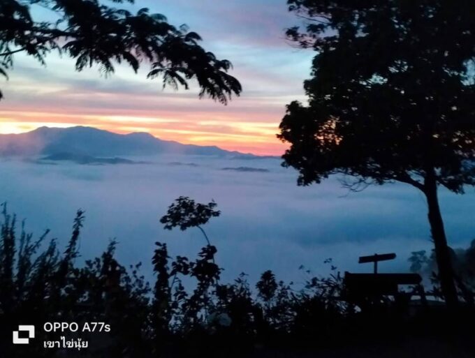 Khao Lak: Sea of Fog on Hill & Sunrise at Khao Khai Nui - Group Size and Language