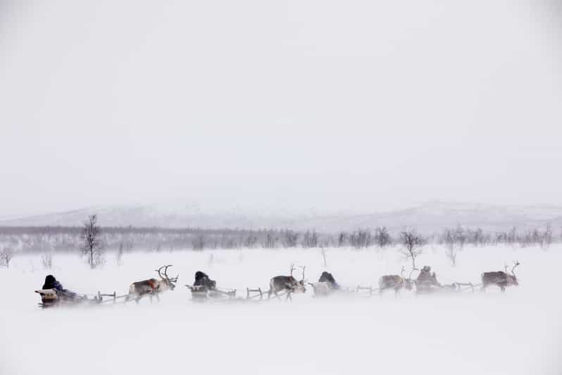 KIRUNA: Reindeer Sled Ride in the Countryside - Frequently Asked Questions