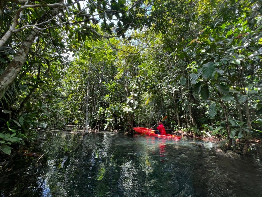 Klong Rud Kayaking With Hotel Transfer - Transportation Options