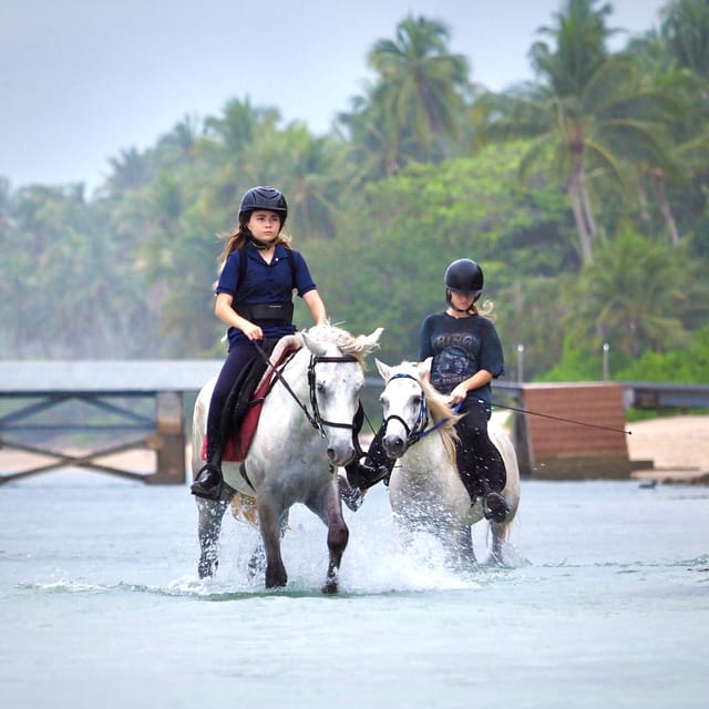 Koh Samui Horse Riding & Beach Trails - Transportation Options