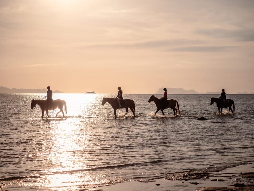 Koh Samui: Sunset Trail Horse Riding on The Beach - Horse Interaction