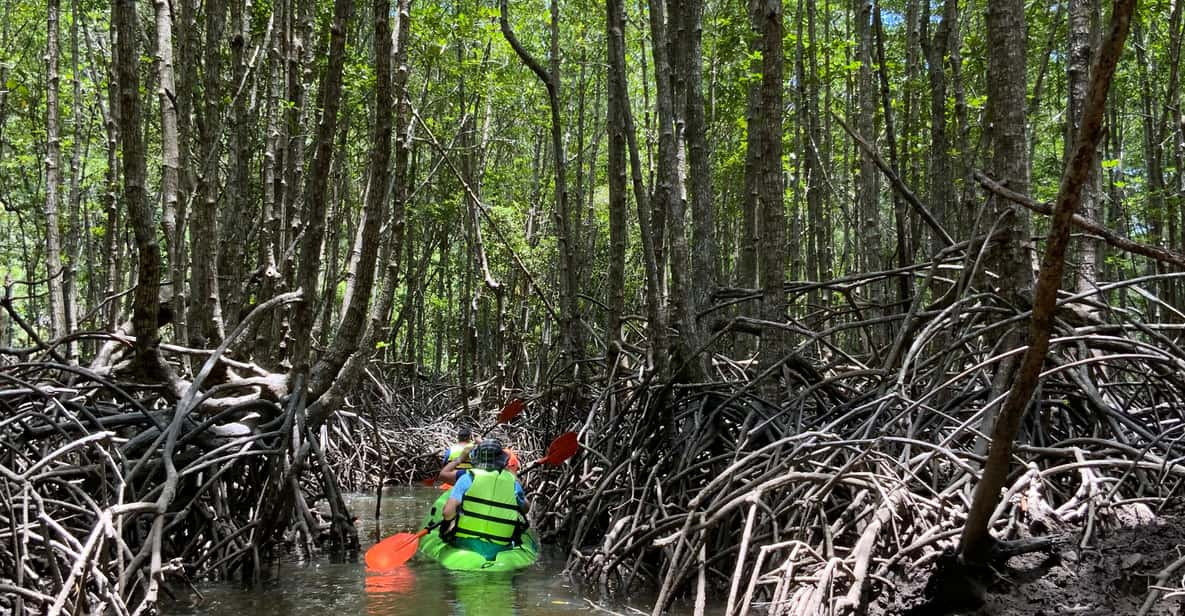 Koh Yao Yai: Klong Hia Mangrove Kayaking - Dining at Seaview Restaurant