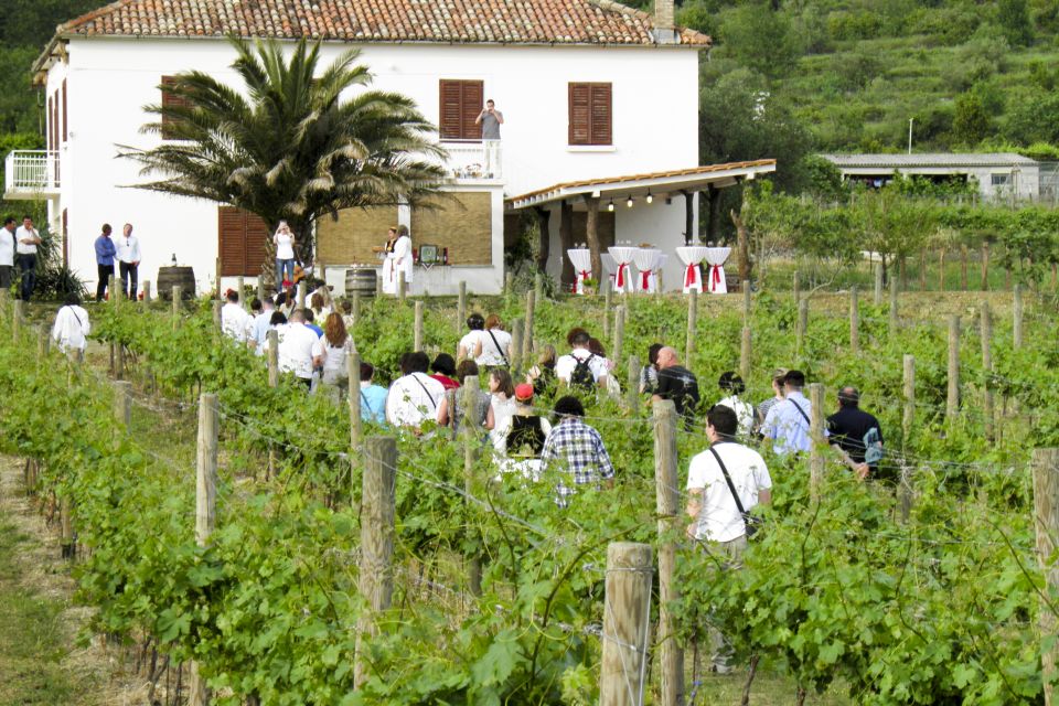 Konavle Valley: Tour With Wine Tasting From Dubrovnik - Essential Details