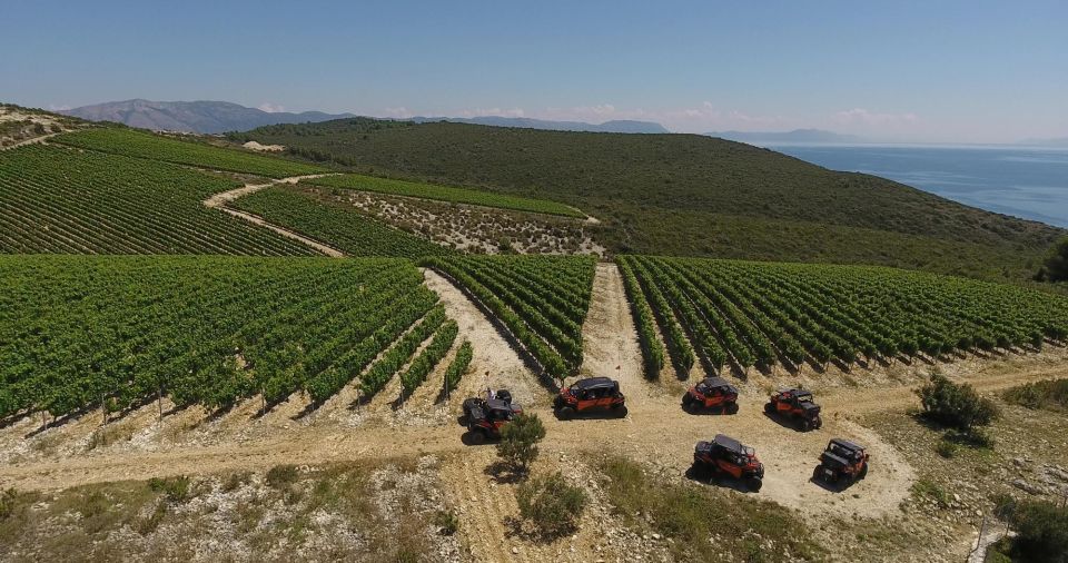 Korcula Island: Buggy Beach Safari With Lunch and Snorkeling - Pick-up Instructions