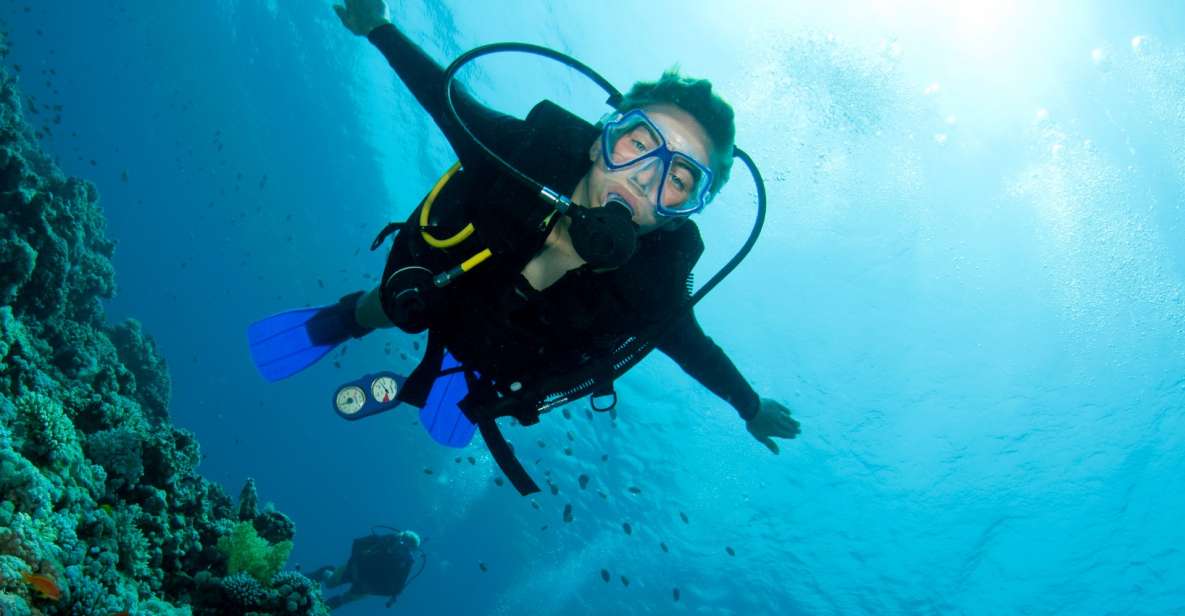 Kos: Beginner Scuba Diving at Pserimos Island - Customer Feedback and Ratings