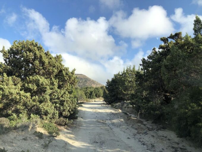 Kos : Off the Beaten Track Tour in Kefalos & Cavo Paradiso - Booking Details