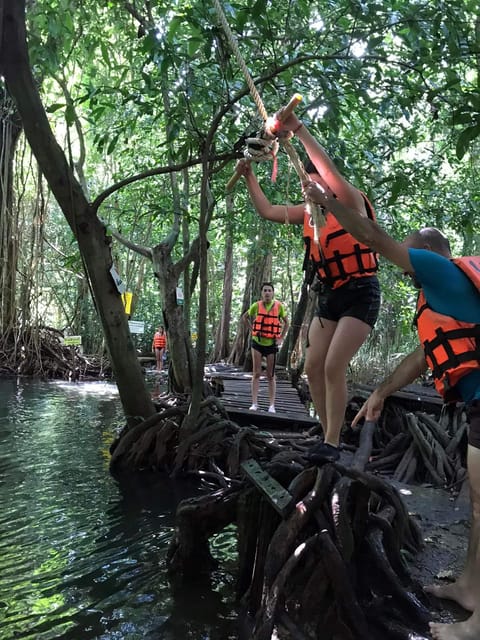 Krabi: Amazon Klong Srakaew Kayaking And Elephant Feeding - Wildlife Interaction