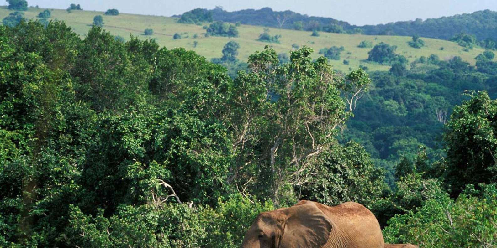 Kruger Park & Blyde River Canyon 4DAY Safari Fr Johannesburg - Flexible Booking Options