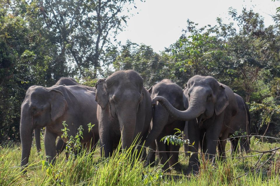 Kulen Elephant Forest & Tonlesap Lake - Booking and Cancellation Policy