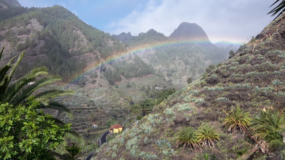 La Gomera Rural Life Experience: Mojo Workshop - Planting and Tasting