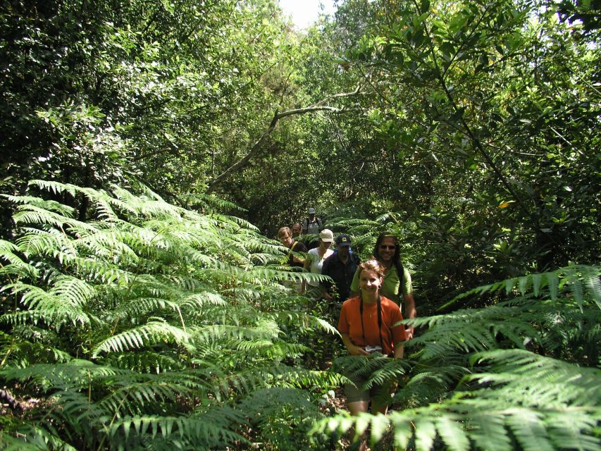 La Gomera: the Rain Forest (National Park) - Frequently Asked Questions