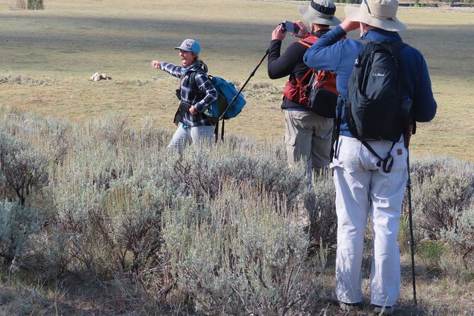 Lamar Valley Safari Hiking Tour With Lunch - Booking and Cancellation Policy