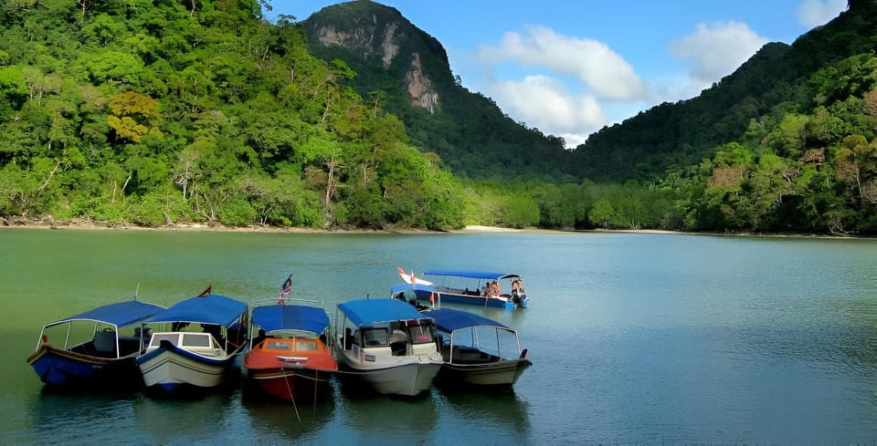 Langkawi: Mangrove Tours With Options - Local Culture and Wildlife