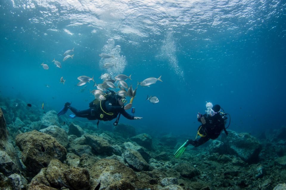 Lanzarote: Beginner Scuba Diving From the Beach - Frequently Asked Questions