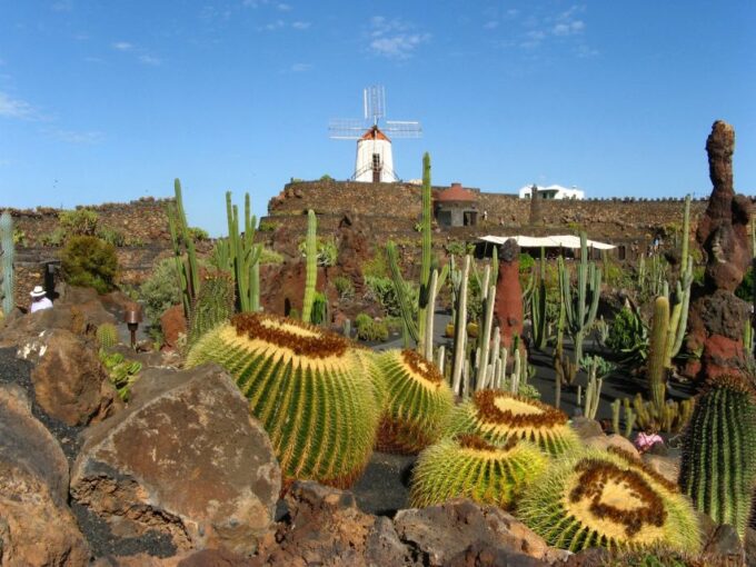 Lanzarote Coast-2-Coast Tour - Discovering La Graciosa Island