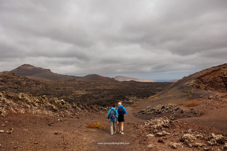 Lanzarote: Hike Across Timanfaya's Volcanic Landscapes - Customer Feedback and Ratings