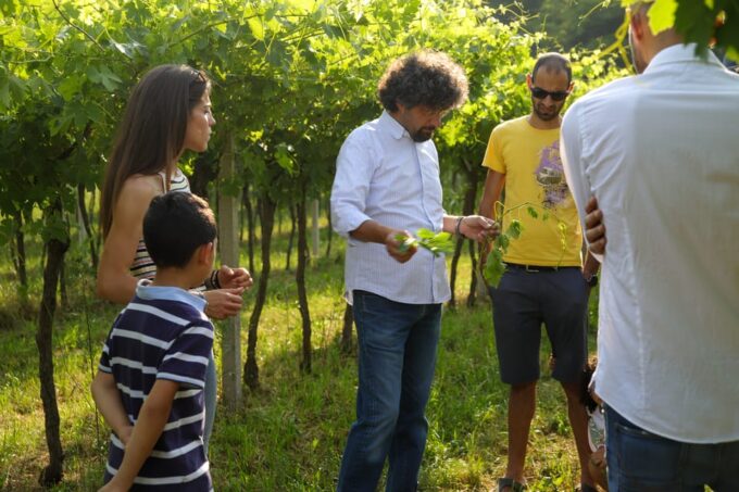 Lazise: Biodynamic Farm Tour and Natural Wine Tasting - Natural Environment Appreciation
