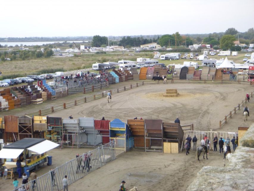 Le Grau Du Roi: Half-Day Tour of Camargue - Customer Feedback and Reviews