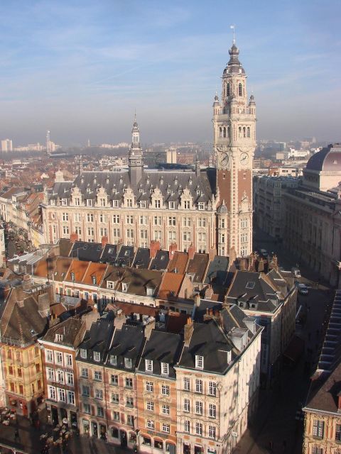 Lille - Private Historic Walking Tour - Tips for Participants