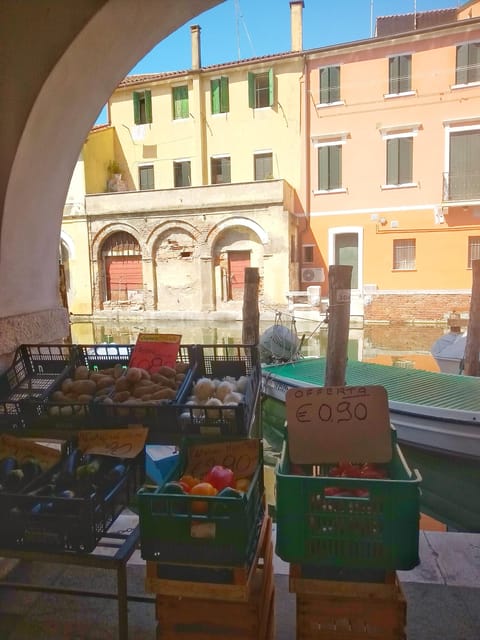 Little Venice of Chioggia Guided Tour From Padua - What to Bring and Prepare