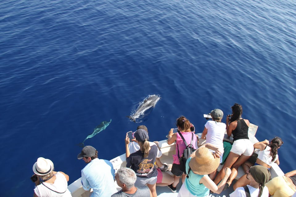 Loano: Pelagos Sanctuary Wildlife Cruise With Guide - Getting to the Starting Location