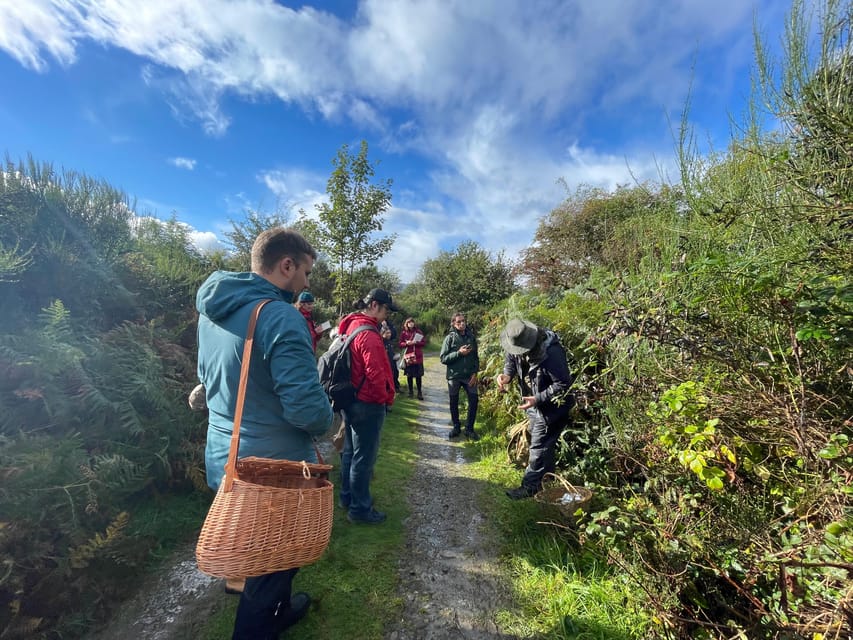 Loch Lomond: Guided Wild Food Forage & Feast - Frequently Asked Questions