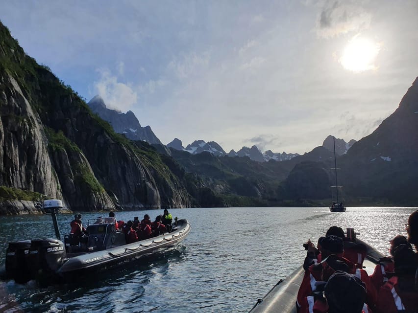 Lofoten: Trollfjord Sea Eagle Safari by RIB Boat - Tips for a Great Experience