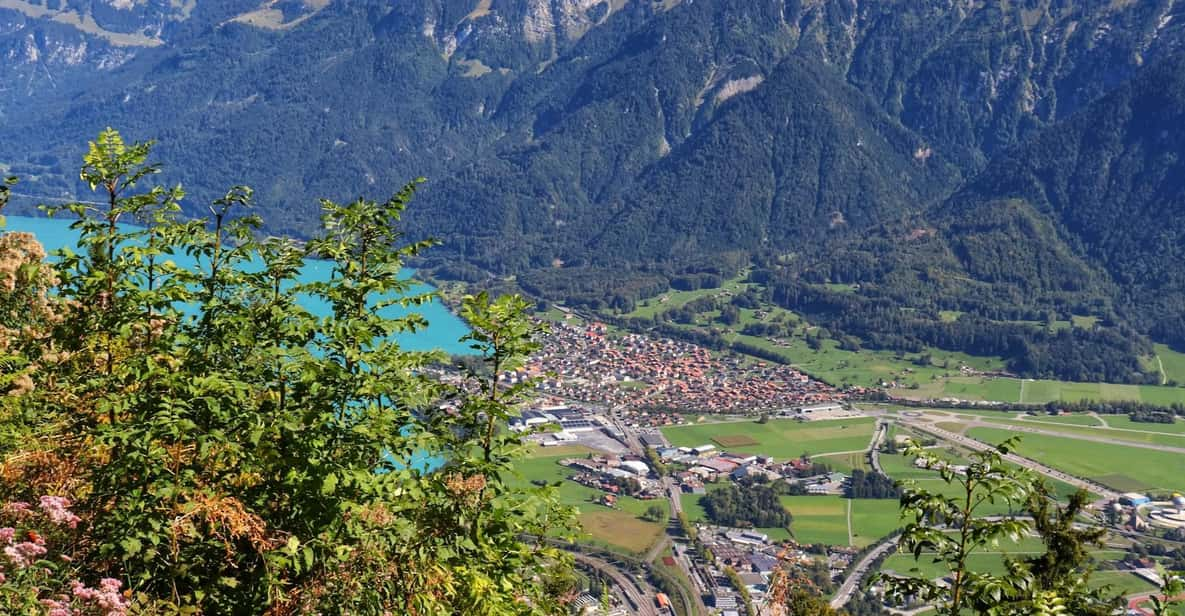 Lucerne: Interlaken & Grindelwald Exclusive Private Day Tour - Memorable Moments and Reflections