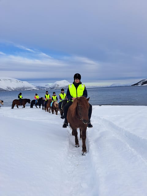 Lyngen Horseback Winter Riding Experience - Tips for a Great Experience