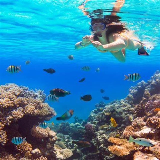 Maio: Reef Snorkeling - Instructor Briefing