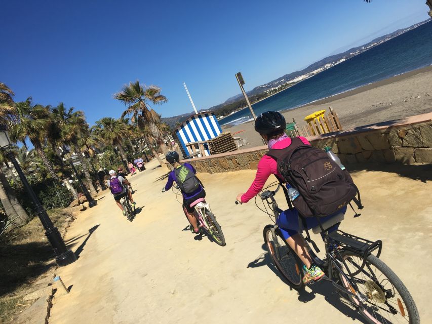 Malaga: Private Guided Bike Tour - Historical and Cultural Insights