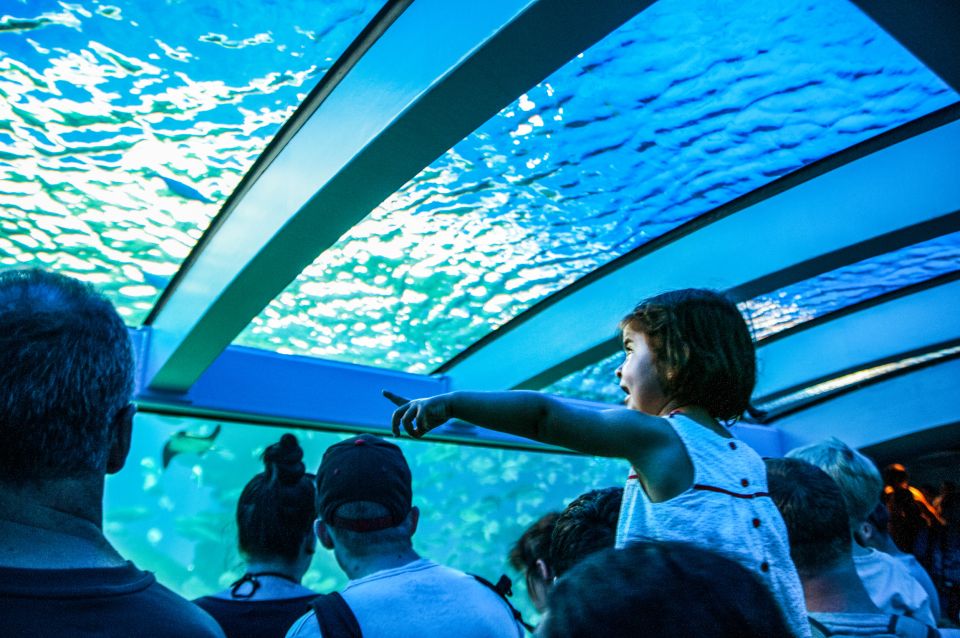 Mallorca: Palma Aquarium Entry Ticket W/ Optional 3D Cinema - Virtual 3D Aquadome Cinema