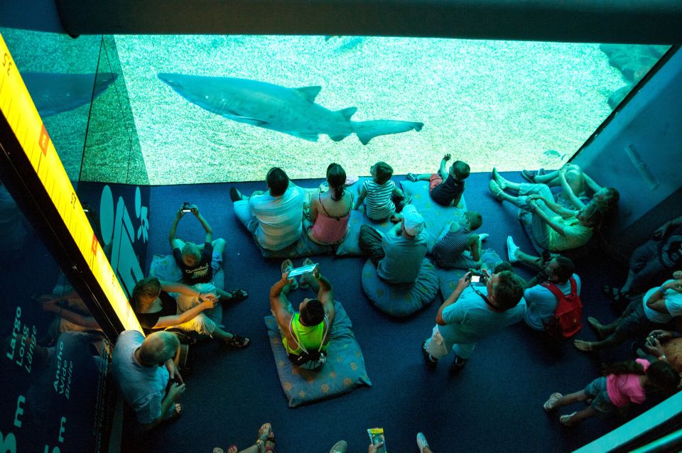 Mallorca: Palma Aquarium Tickets With Transfer - Nearby Attractions