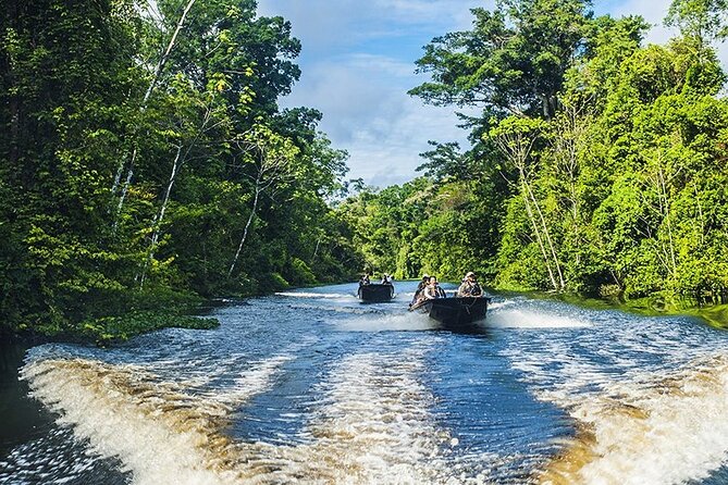 Manu Jungle Tour From Cusco (4 Days) - Tour Booking and Pricing