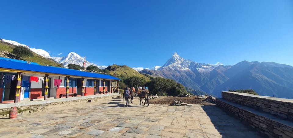 Mardi Himal Guided Private Trekking From Pokhara - 6 Days - Best Trekking Seasons