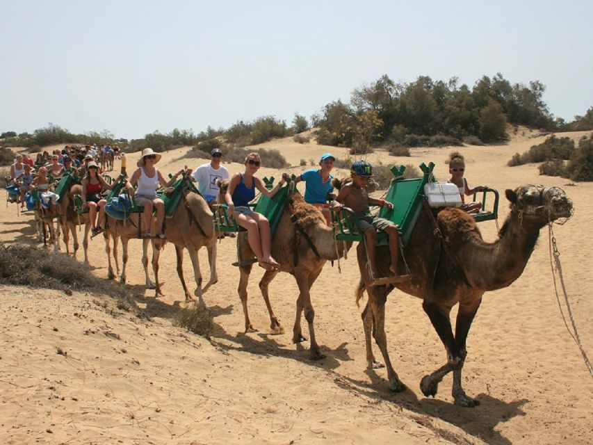 Maspalomas: E-Bike Tour Optional Camel Ride - Customer Reviews