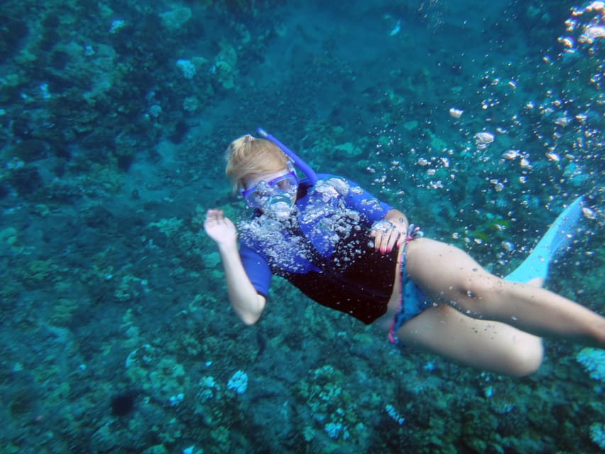 Maui: Snorkeling Cruise to Coral Gardens With Lunch - Booking Information and Tips