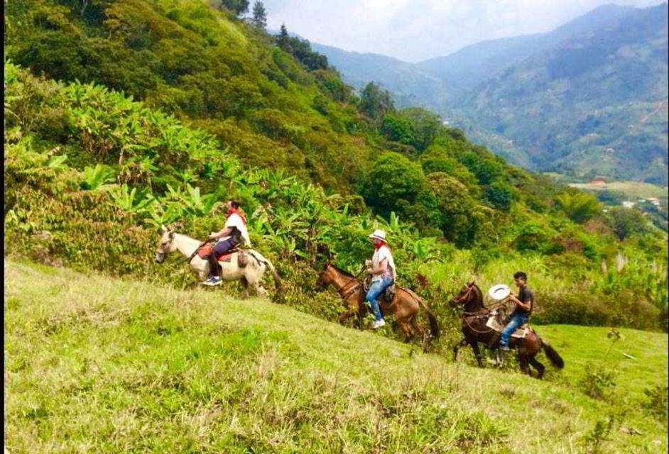 Medellín: Authentic Colombian Horseback Ride - Booking and Cancellation Policy