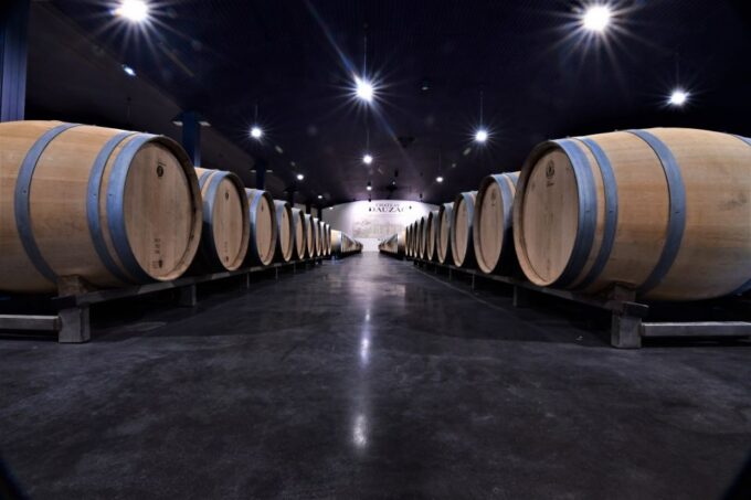 Medoc Afternoon Wine Tour, 2 Wineries, Tastings & Delicacies - Customer Feedback and Ratings