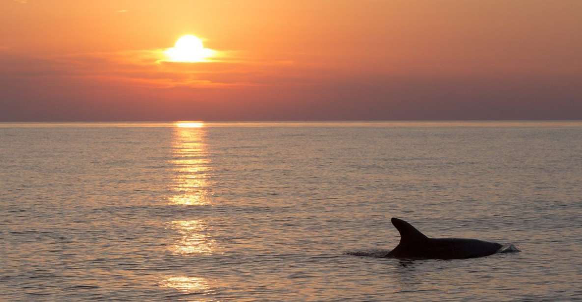 Medulin: 3-Hour Sunset Dolphin Spotting Tour With Dinner - Medulin Location