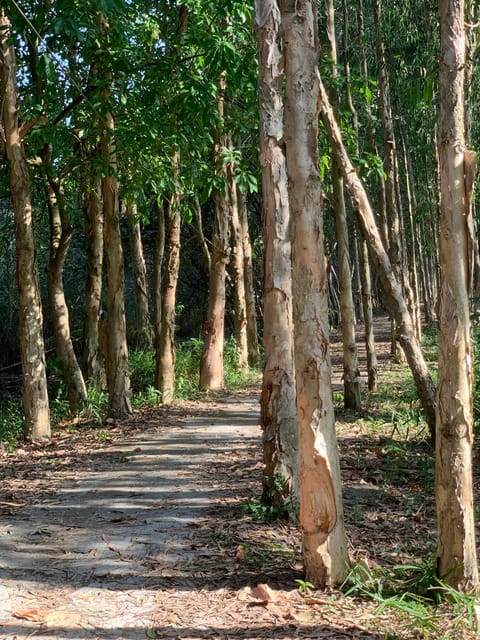 Mekong Delta: Experience the Hidden Gem of Local River Life - Best Time to Visit the Delta